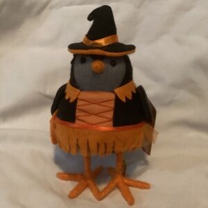 Halloween Witch Bird
